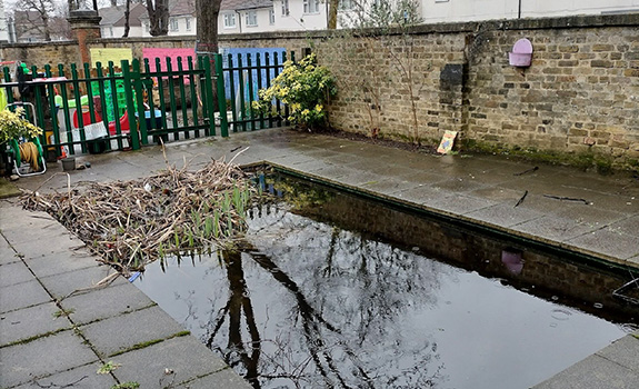 The pond at St Luke's before work began
